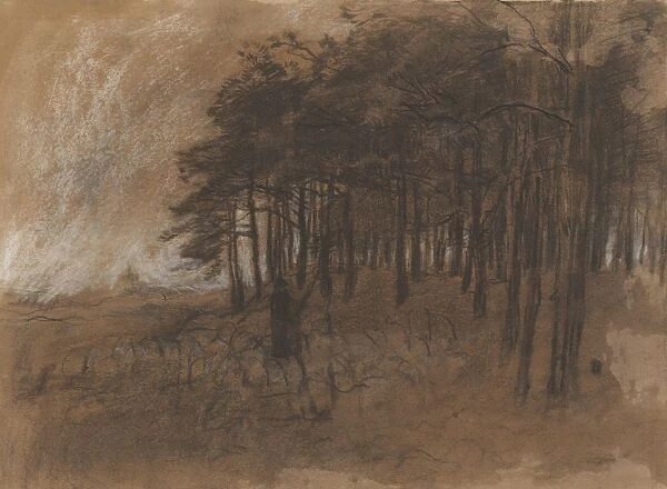 Forest edge forest wood Anton Mauve 1848 1888