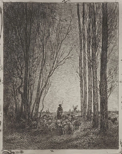 Gathering Flock original impression 1862 printed