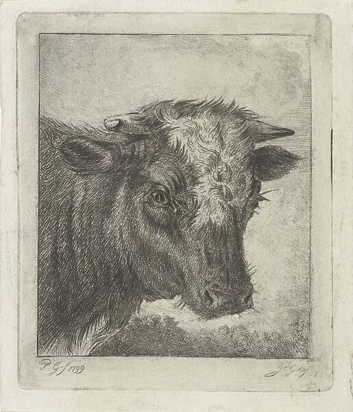 Head of a cow, Jacobus Cornelis Gaal, 1852
