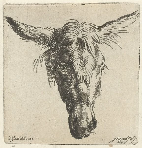 Head of a donkey, Jacobus Cornelis Gaal, Nicolaes Pietersz. Berchem, 1854