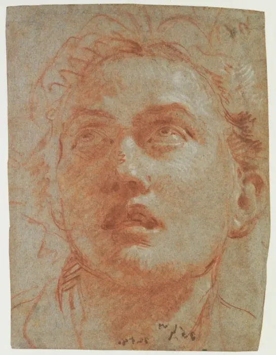 Framed Print : Tiepolo's Head of a Man Looking Up Print Framed Print : Tiepolo's Head of a Man Looking Up Print