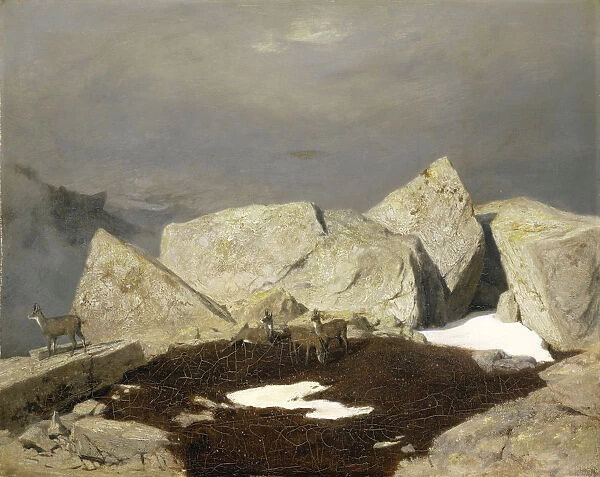 High mountain landscape chamois c. 1849 oil canvas