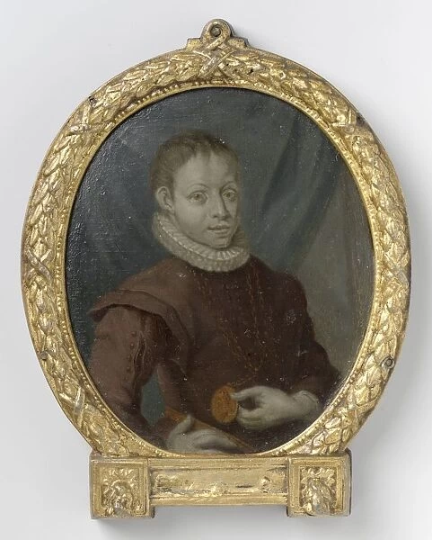 Hugo de Groot young age small sticker name Henri IV