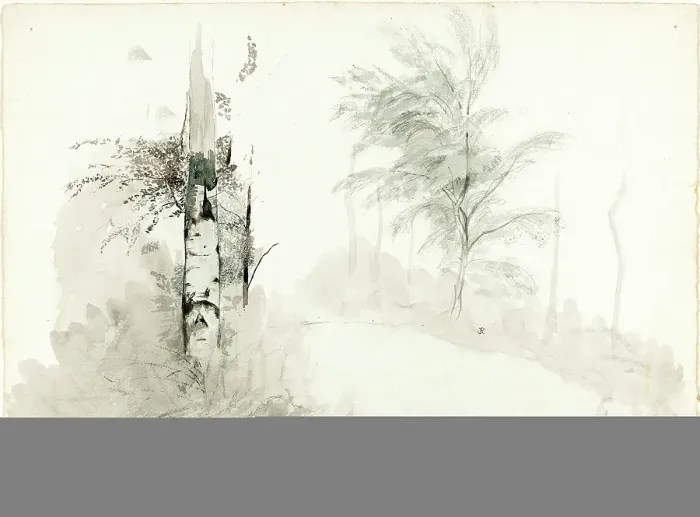 Framed Print : John Ruskin Tree Study Print, 1860s Framed Print : John Ruskin Tree Study Print, 1860s