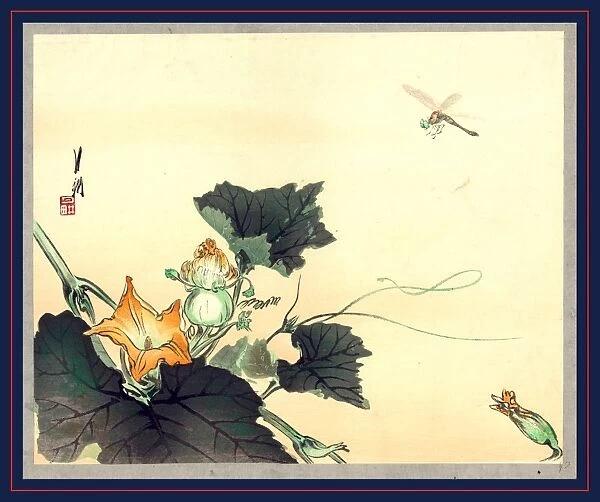 Kabocha ni tonbou, Dragonfly and pumpkin. Ogata, GekkAc, 1859-1920, artist, [between 1890