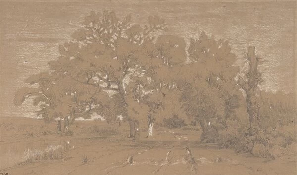 Landscape 1842 Graphite heightened white chalk