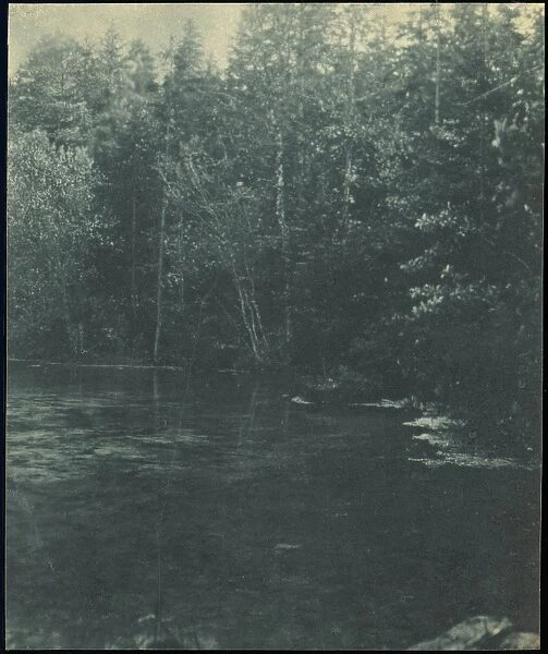 Landscape River Trees 1886 Gum bichromate print