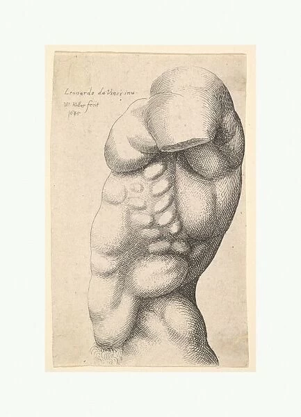 Male torso neck hip profile left 1645 Etching