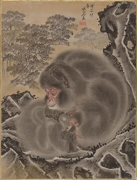 Monkeys Meiji period 1868-1912 March 1888 Japan