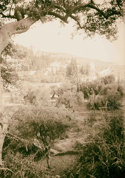 Mount Olives Bethany Garden Gethsemane 1900 Jerusalem