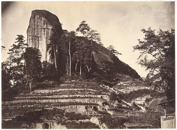 Mountain Rice Fields ca 1869 Albumen silver print