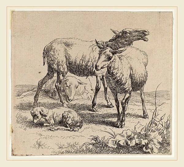 Nicolaes Pietersz Berchem, Set of Sheep [plate 6], Dutch, 1620-1683, 1590-1690
