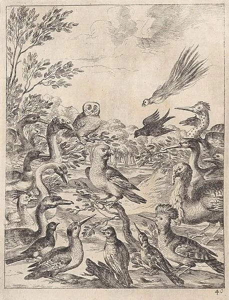 Parliament of birds, Dirk Stoop, John Ogilby, 1665