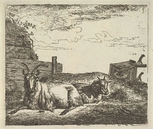 Recumbent Goats Different Animals Etching plate