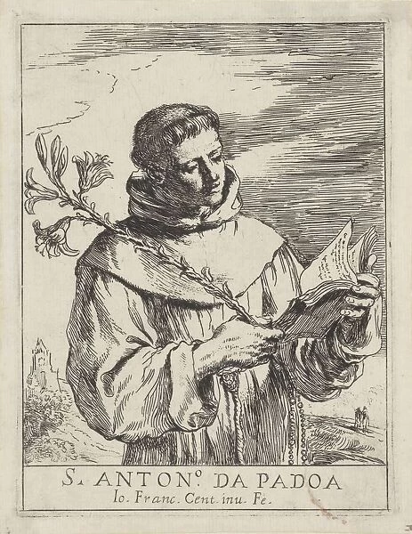 Saint Anthony Padua book lily branch hands Franciscan monk Antony