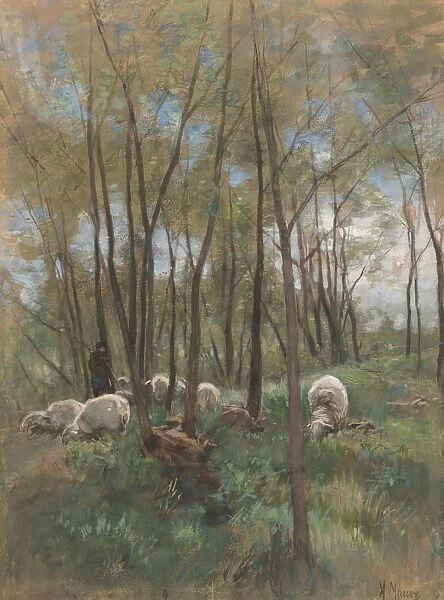 Sheep herd forest herd flock sheep Anton Mauve