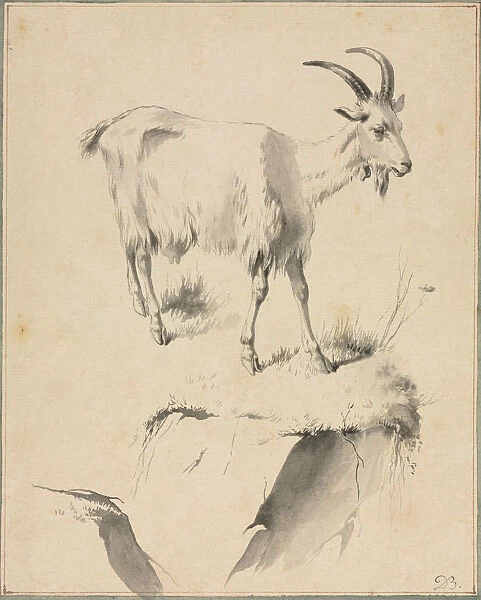 Study Goat 1700s Jean Jacques de Boissieu French
