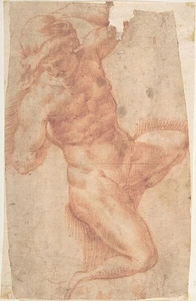 Study Male Nude 1568-1640 Red chalk 7 x 4 5  /  16in