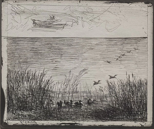 Swamp Ducks original impression 1862 printed