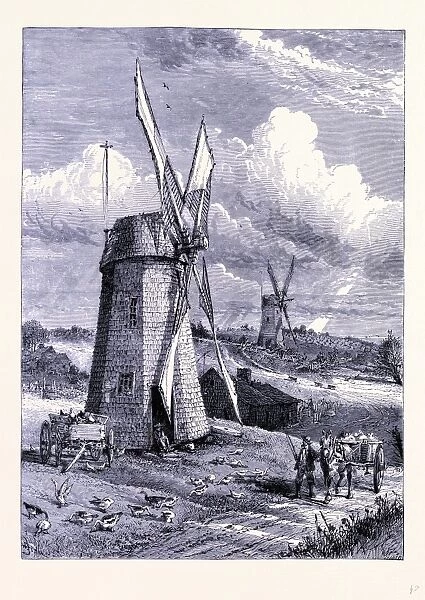 Windmills at East Hampton, United States of America