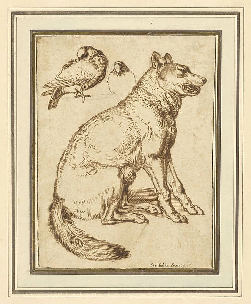 Wolf Two Doves Sinibaldo Scorza Italian 1589