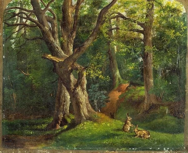 Woodland scene with rabbits Possibly signed, lower right: [Hube??], Sir