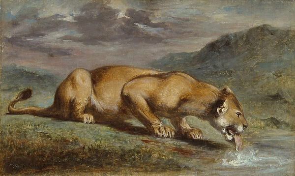 Wounded Lioness 1840  /  50 Pierre Andrieu French