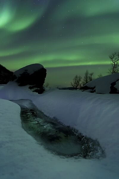 Aurora Borealis over a frozen river, Nordland, Norway