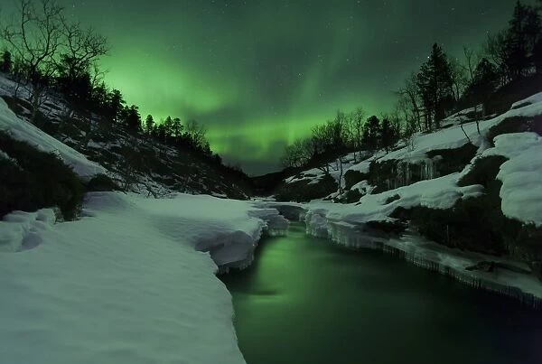 Aurora Borealis over Tennevik River, Troms, Norway #13059983