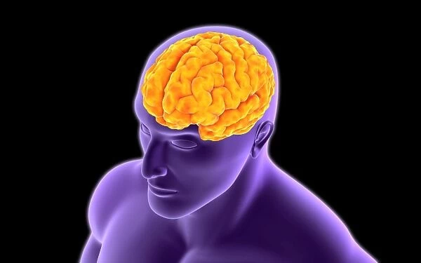 Conceptual image of human brain