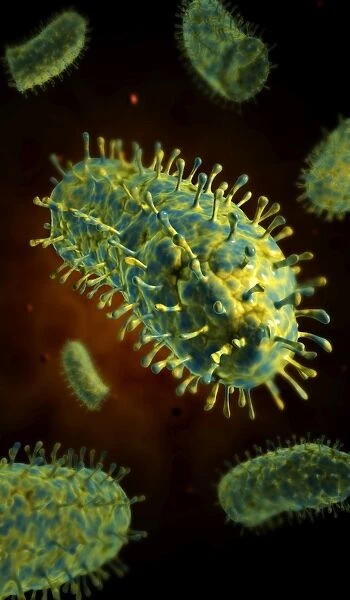 Conceptual image of rabies virus