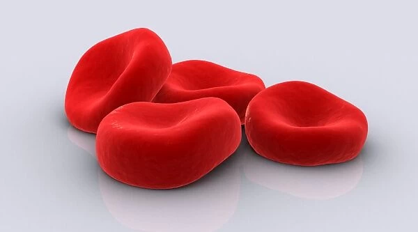 Conceptual image of red blood cells
