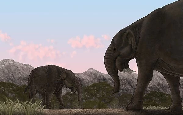 Two Deinotherium, an extinct animal of the Miocene epoch #13002735