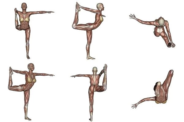 Six different views of dancer yoga pose showing female musculature
