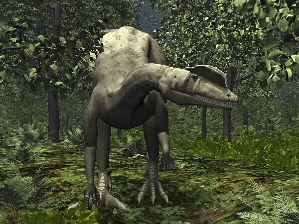 A Dilophosaurus amidst Ginkgo trees