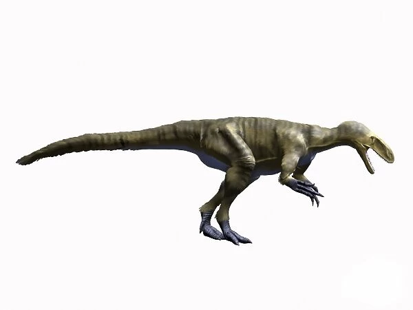 Dryptosaurus aquilunguis, Late Cretaceous of New Jersey
