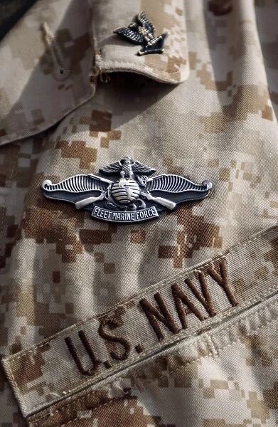 Fleet Marine Force Warfare device pin