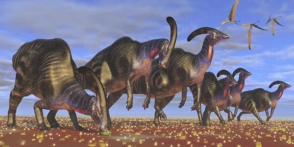 A herd of Parasaurolophus dinosaurs searching for vegetation