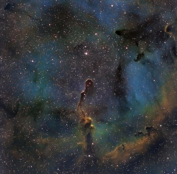 IC 1396, the Elephant Trunk Nebula