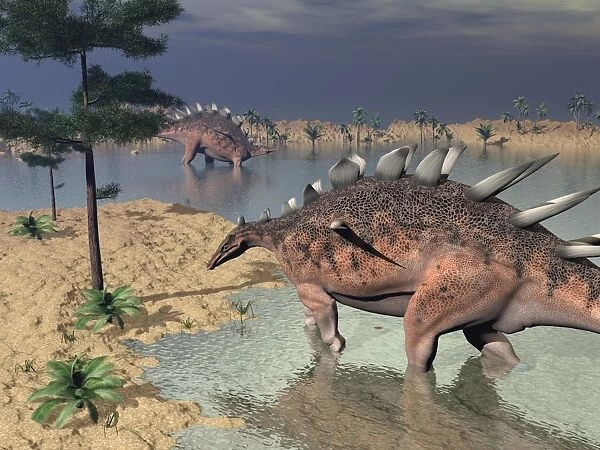 Kentrosaurus dinosaurs walking in the water next to sand and trees