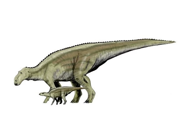 Maiasaura dinosaur and offspring