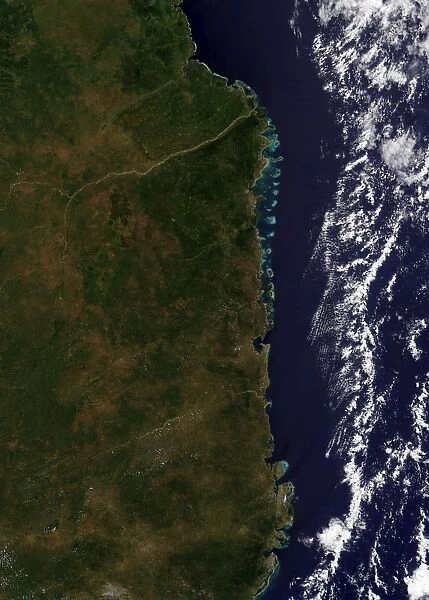 The Mozambique coast