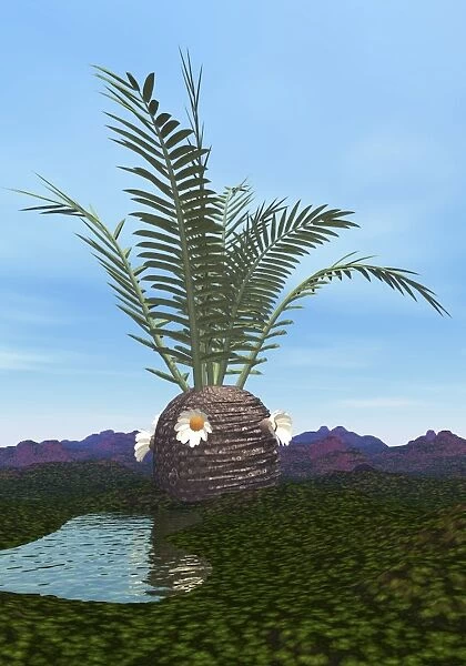 Prehistoric era Cycadeoidea tree