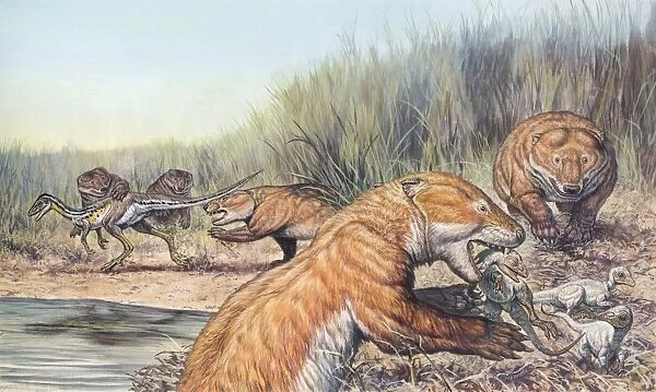 Repenomamus mammals hunting for prey