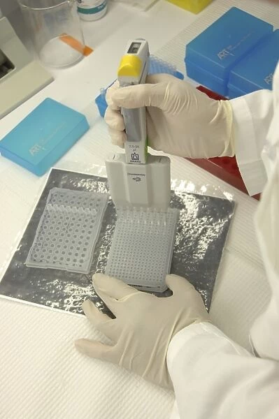 Researcher in lab uses pipette and measures RNA