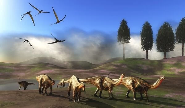 Rhamphorhynchus birds fly over a herd of Dicraeosaurus dinosuars