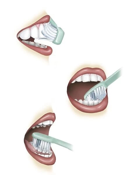Three steps of proper tooth brushing