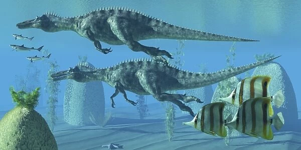 Two Suchomimus dinosaurs search for big fish prey underwater