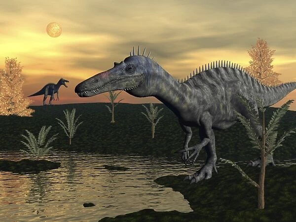 Suchomimus dinosaurs walking next to pond at sunset