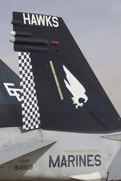 The tail fin of an F  /  A-18D Hornet